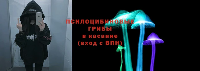 соль курить ск Алзамай
